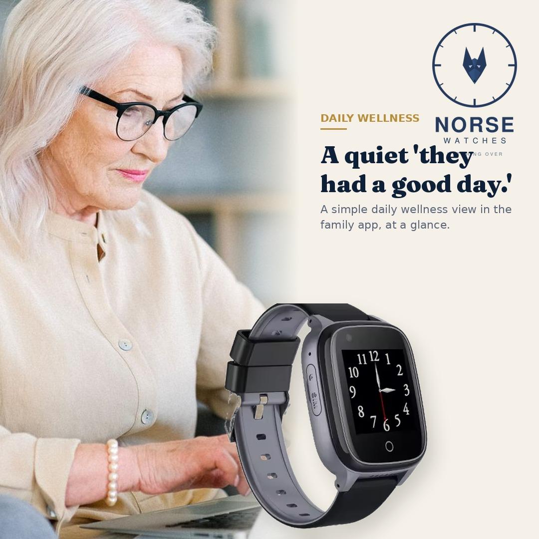 A simple daily wellness view for an older loved one in the Norse family app